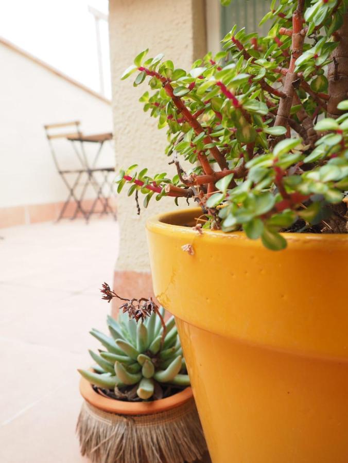 Apartaments La Rambla - Arbequina - 6 Persones Cornudella de Montsant Kültér fotó